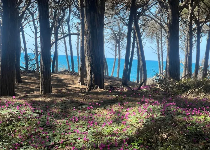 Villa Lavinia B&B