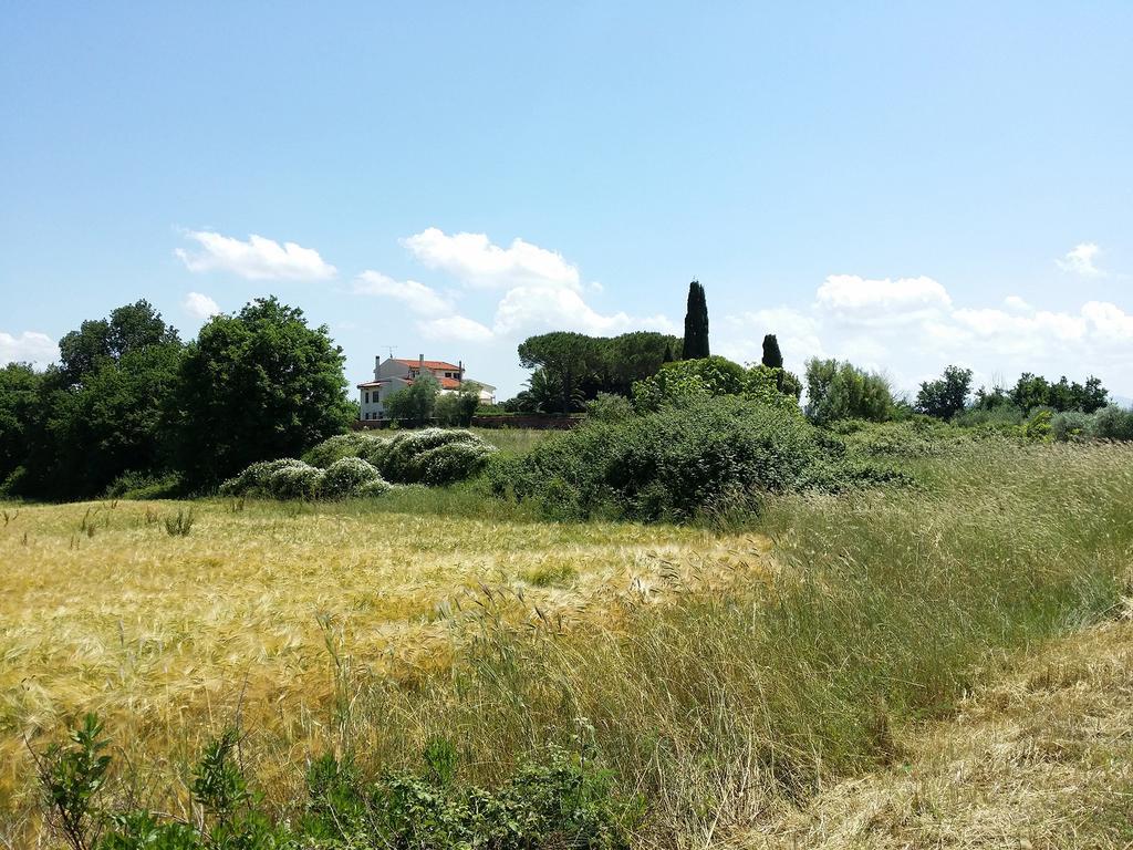 Bed & Breakfast Lavinia 3*