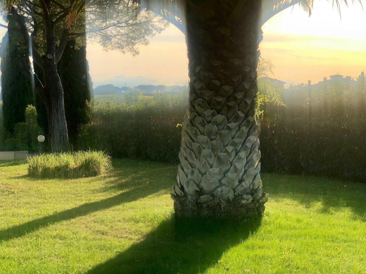 Bed & Breakfast Lavinia